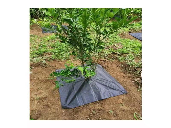 果園防草布應該怎么選擇